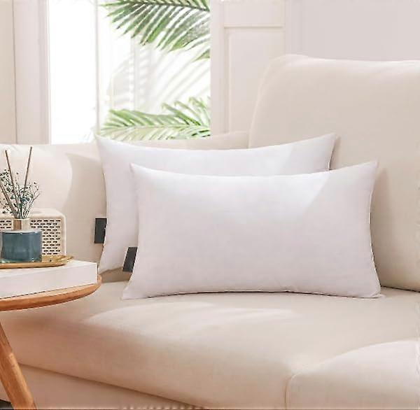 12x20 Inch Goose Down Pillow Inserts 2 Pack, Luxurious Feather Throw Cushions for Sofa and Bed