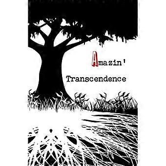 erstaunliche' Transzendenz