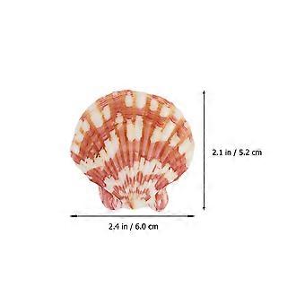Shell Ornament Natural Conch Ornaments for Aquarium Decoration 1 Bag