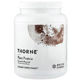 Thorne, Plantaardige Eiwitten, Chocolade, 1,49 lb (676 g)