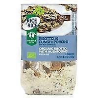 Porcini mushroom risotto - with miso 250 g