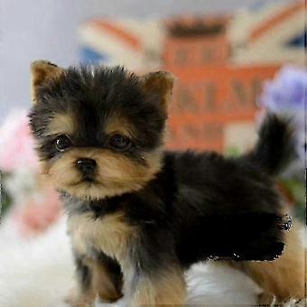 Realistic Yorkie Dog Toy Dog Puppy Lifelike Stuffed Companion Toy Pet Dog Handcrafted 2025