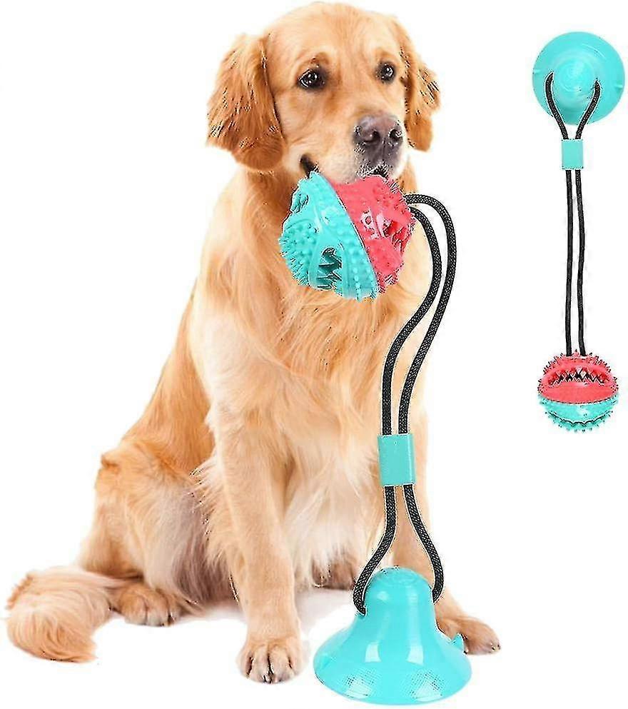 Dog Toy Ball Chew Toys With Suction Cup, Multifunctional Dog Game With Elastic Rope,teeth Chew Balls For Wooden Floor Tile Walls