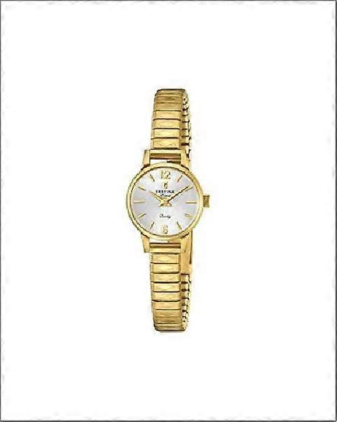 Festina Extra Gold 20mm Watch