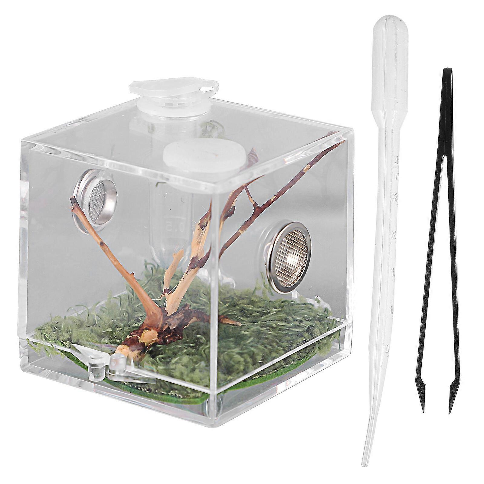 Reptile Breeding Box with Dropper and Forceps Pet Terrarium Transparent Case