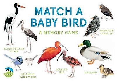 Match a Baby Bird