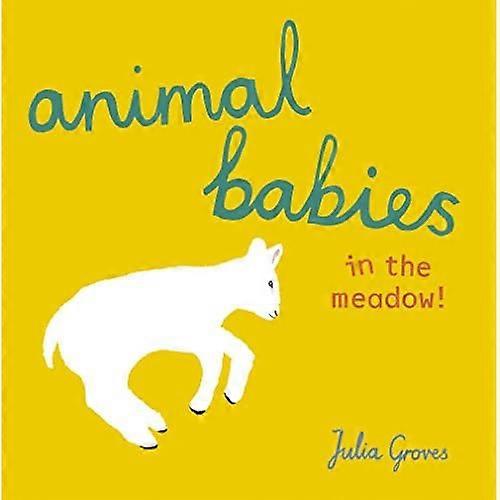 Animal Babies in the meadow!
