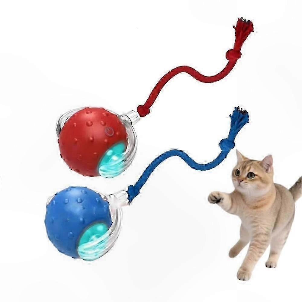 Interactive Pet Toy Ball, Fast Rolling Fetch Toy for Dogs and Cats