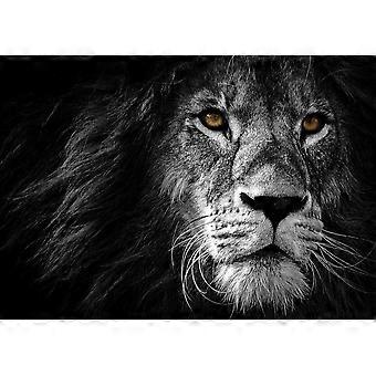 Lionjigsaw puzzle game for adults and kids P0430