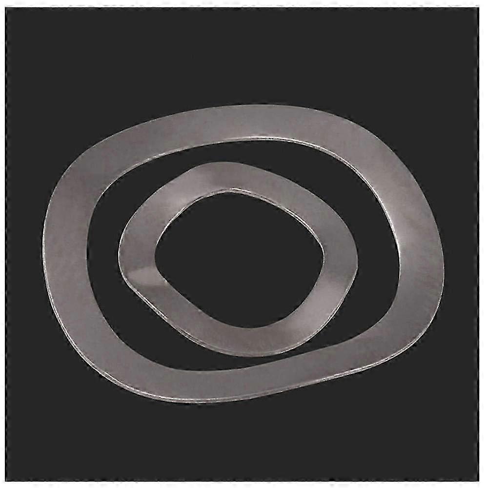 Rust Resistant 304 SS Wave Washer