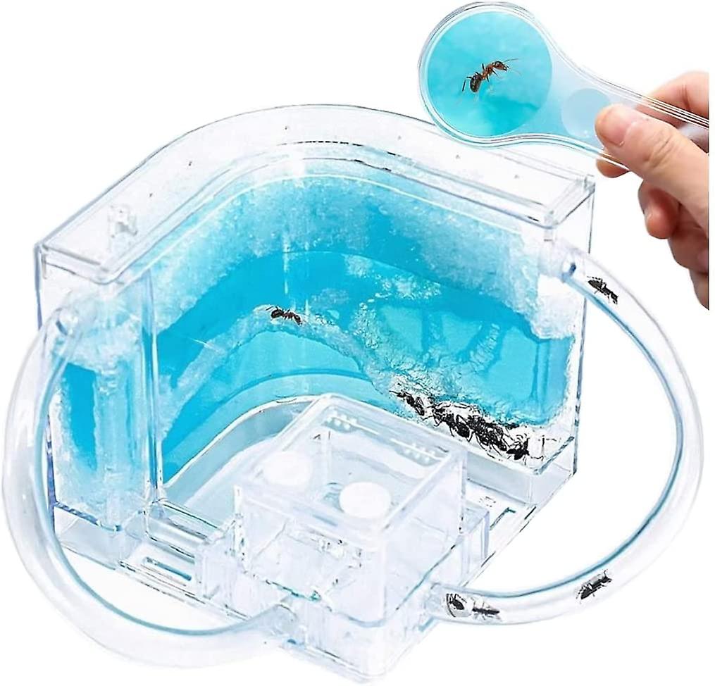 Ant Farm Castle Ant Habitat Science Learning Kit Studie Insectengedrag met buis
