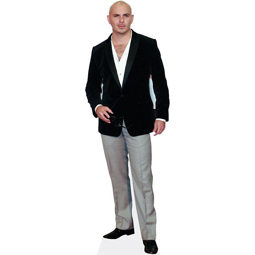 Pitbull Cardboard Cutout (lifesize OR mini size). Standee. Stand Up