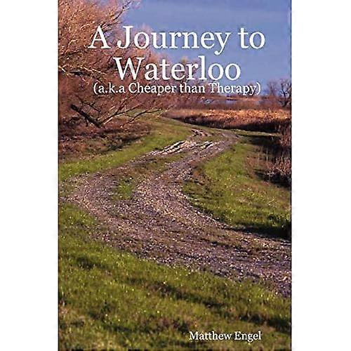 Billigere enn terapi