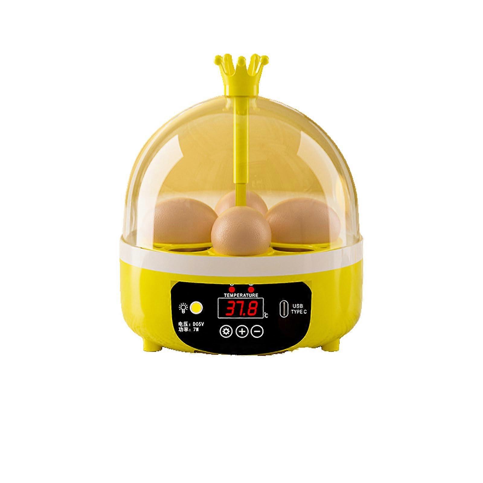 360° FullView Egg Incubator  Automatic Temperature Control, USB Powered, Clear Window