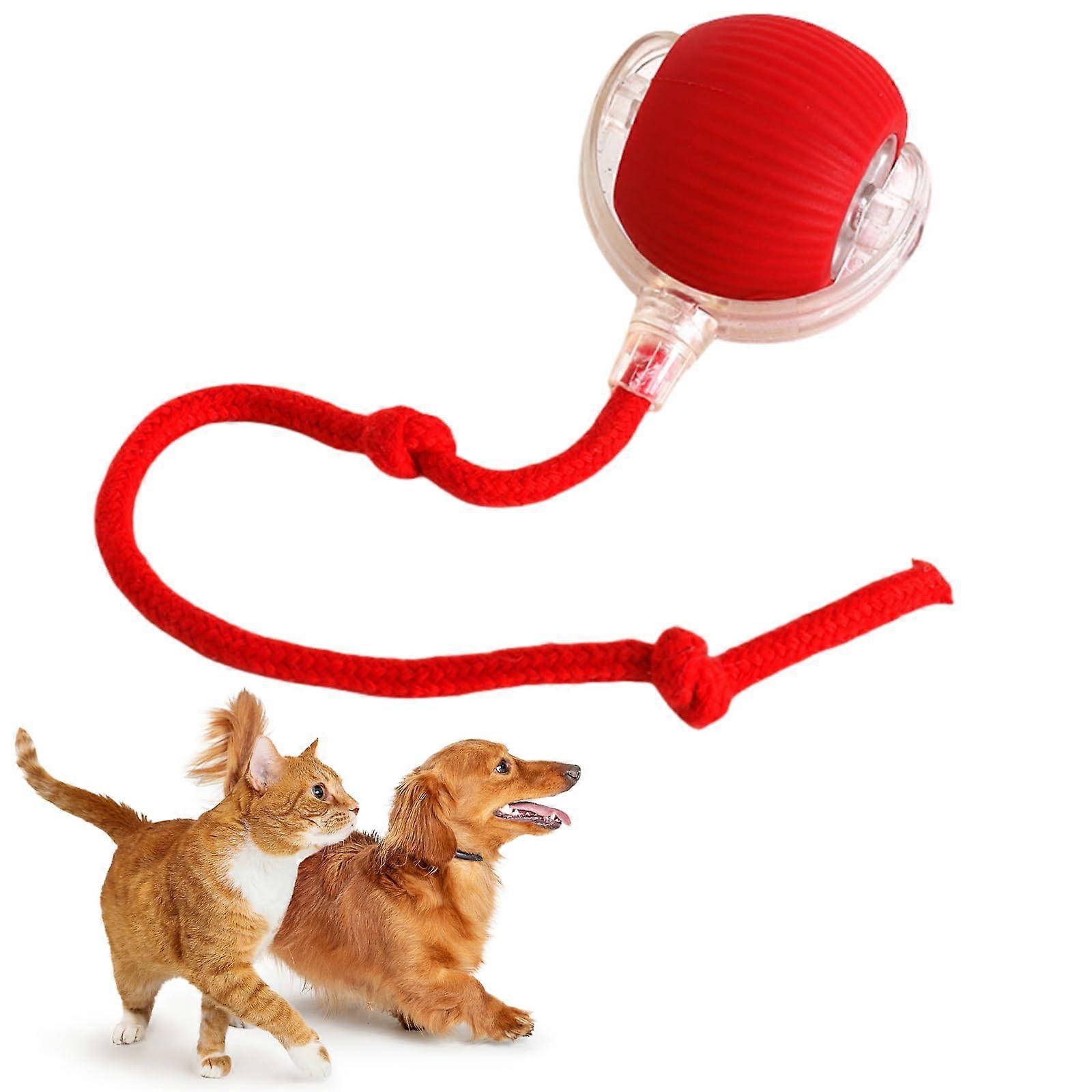 Magic Ball Dog Toy for Interactive Play, Electric 360° Automatic Ball for Dogs and Cats, Red Color, Durable Design