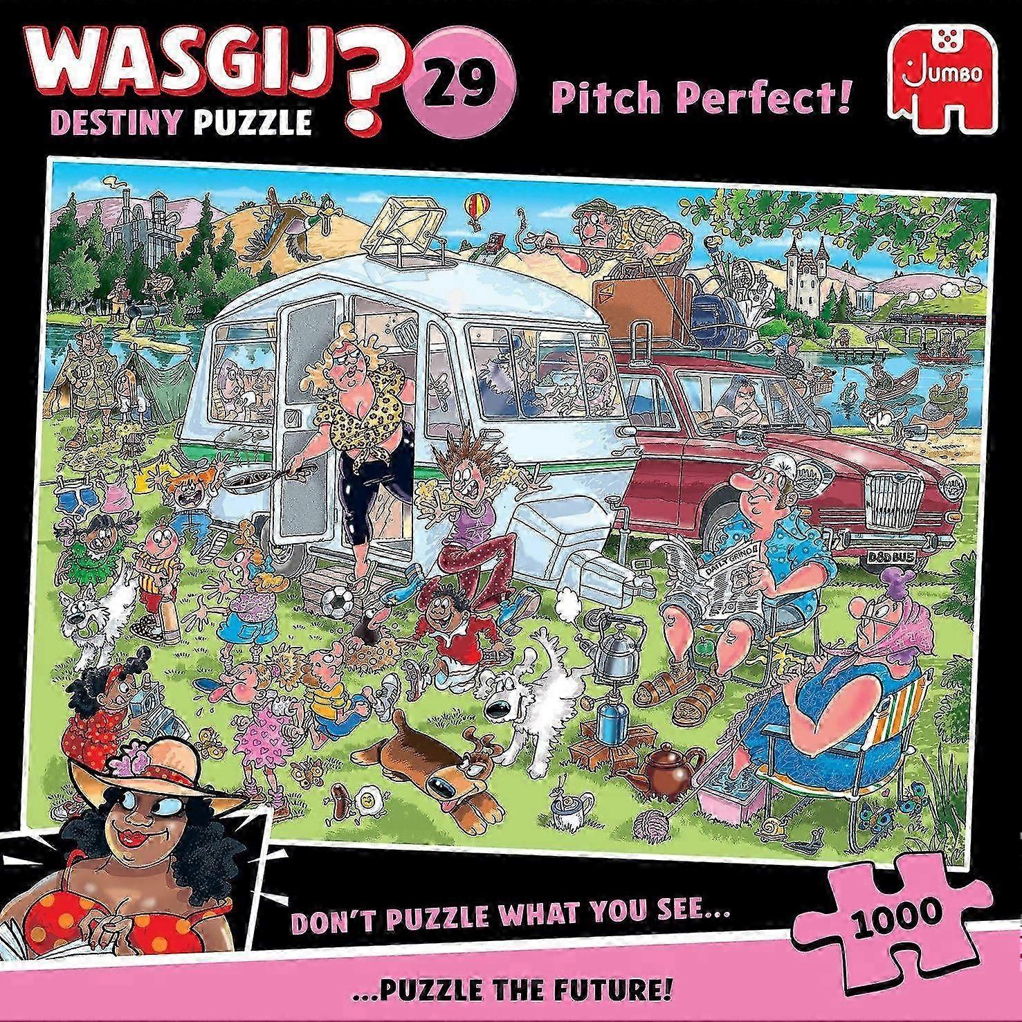 Wasgij 29 Pitch Perfect! Jigsaw (1000 Pieces)