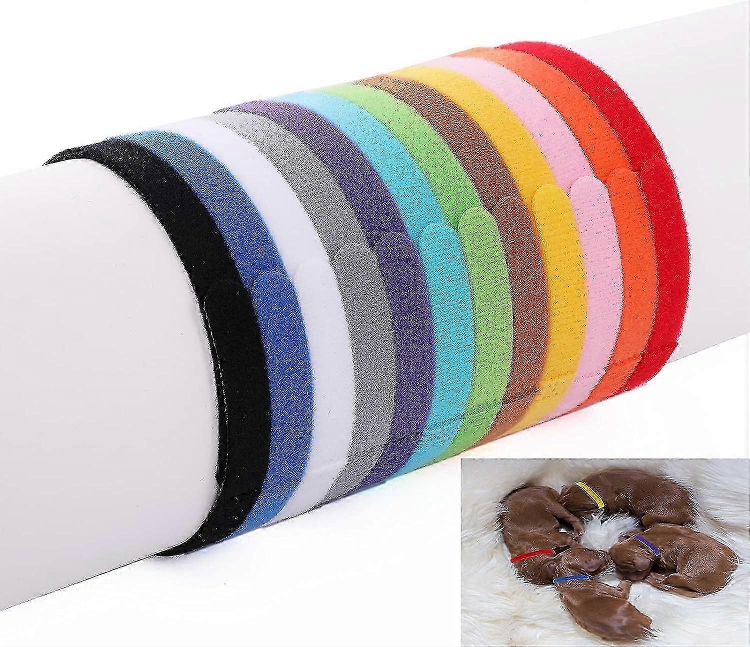 2025 Latest Model (30cm) 12 Pack Puppy Whelping Collars, Assorted Colors for