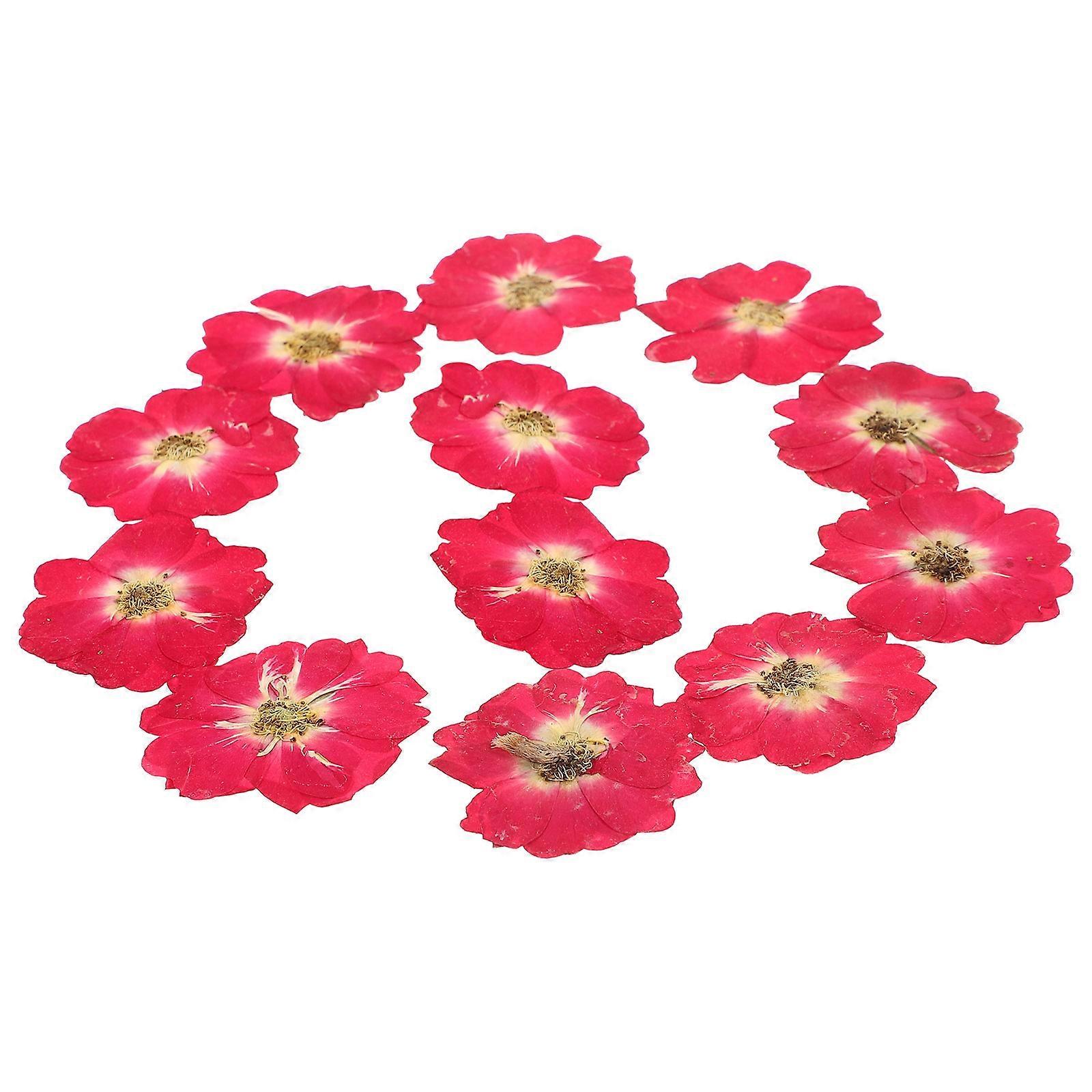 Pressed Flower Kit For Diy Handcraft And Photo Prop Red 12Pcs