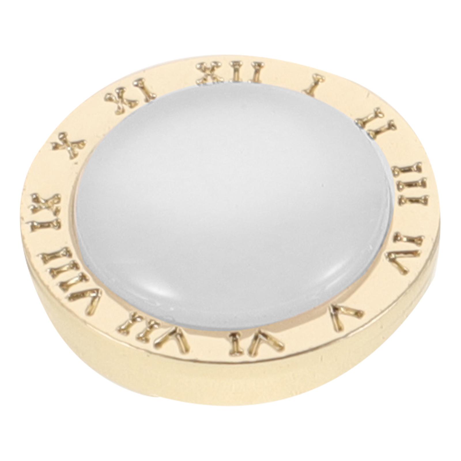 Portable Magnetic Brooch, Delicate Craftsmanship for Eye-Catching Looks