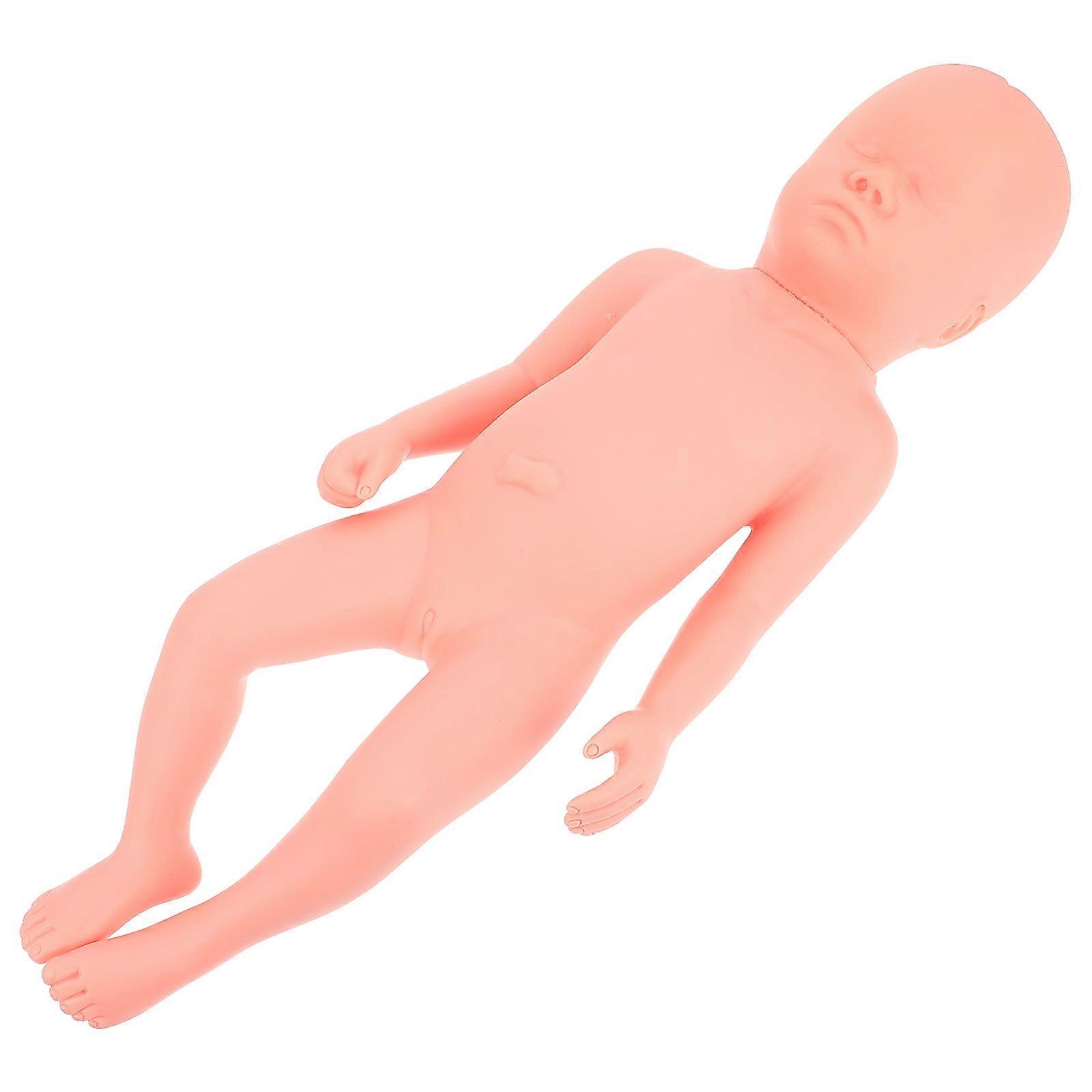 Neonatal Care Model for Health Schools Simple Design Training Aid Realistic Full-term Fetus 45X12CM 1Pcs