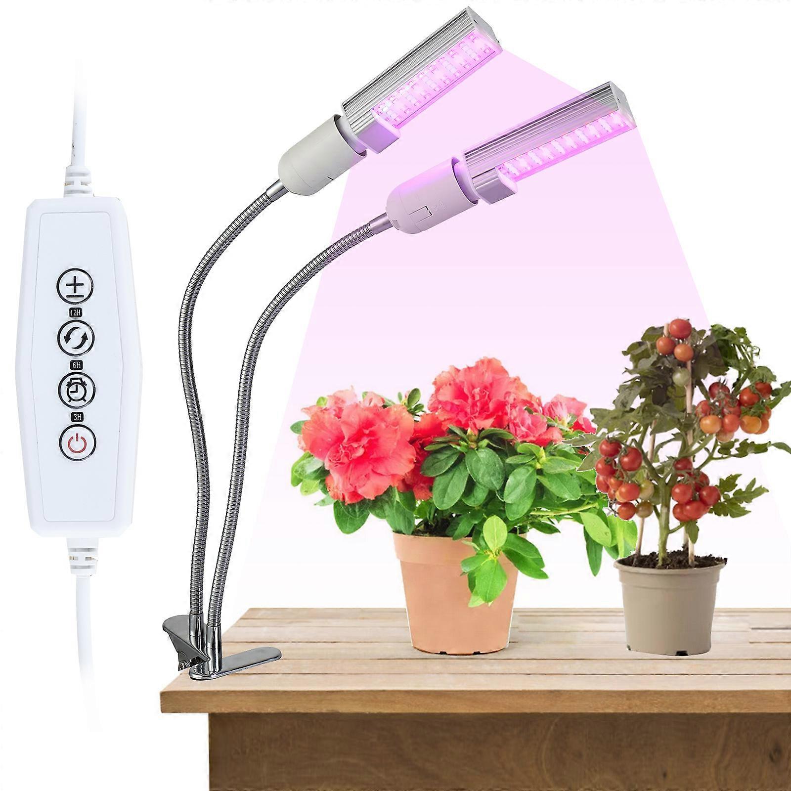 E27 Low Voltage 2 Heads Red and Blue Plant Grow Light Succulent Fill Light 3/9/12 Hours Timer