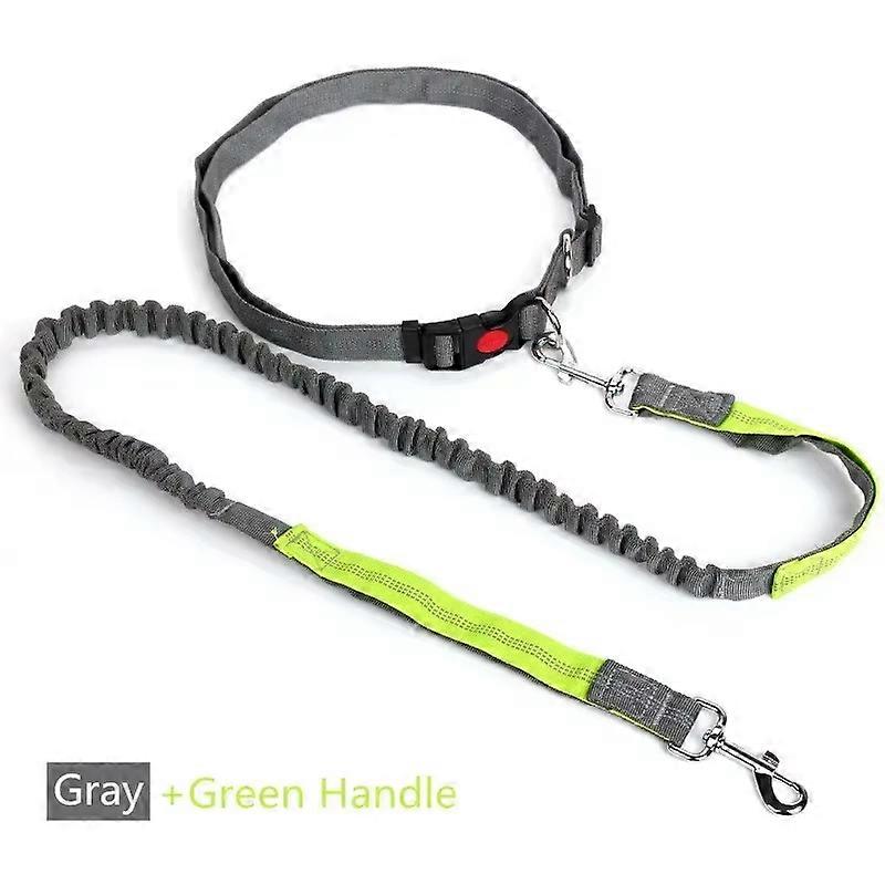 Hands-Free Dog Leash, Adjustable Waist Belt with Extendable Bungee Cord & Reflective Strap for Running, Cycling, Large Dogs