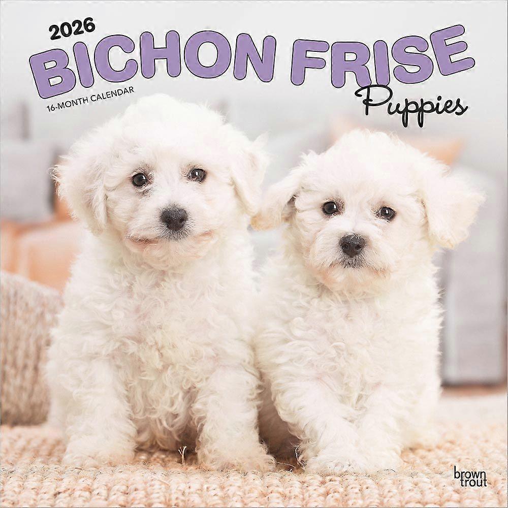 Browntrout Browntrout Bichon Frize Puppies Calendar 2026
