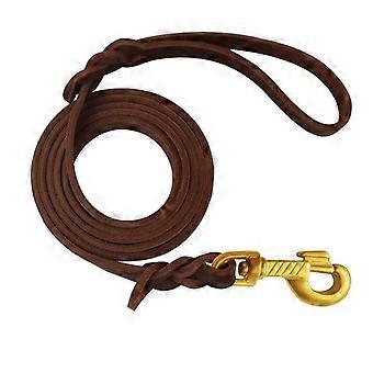 Guinzaglio per cani in pelle Qianruida, 1,8 m, intrecciato, per cani di taglia grande.