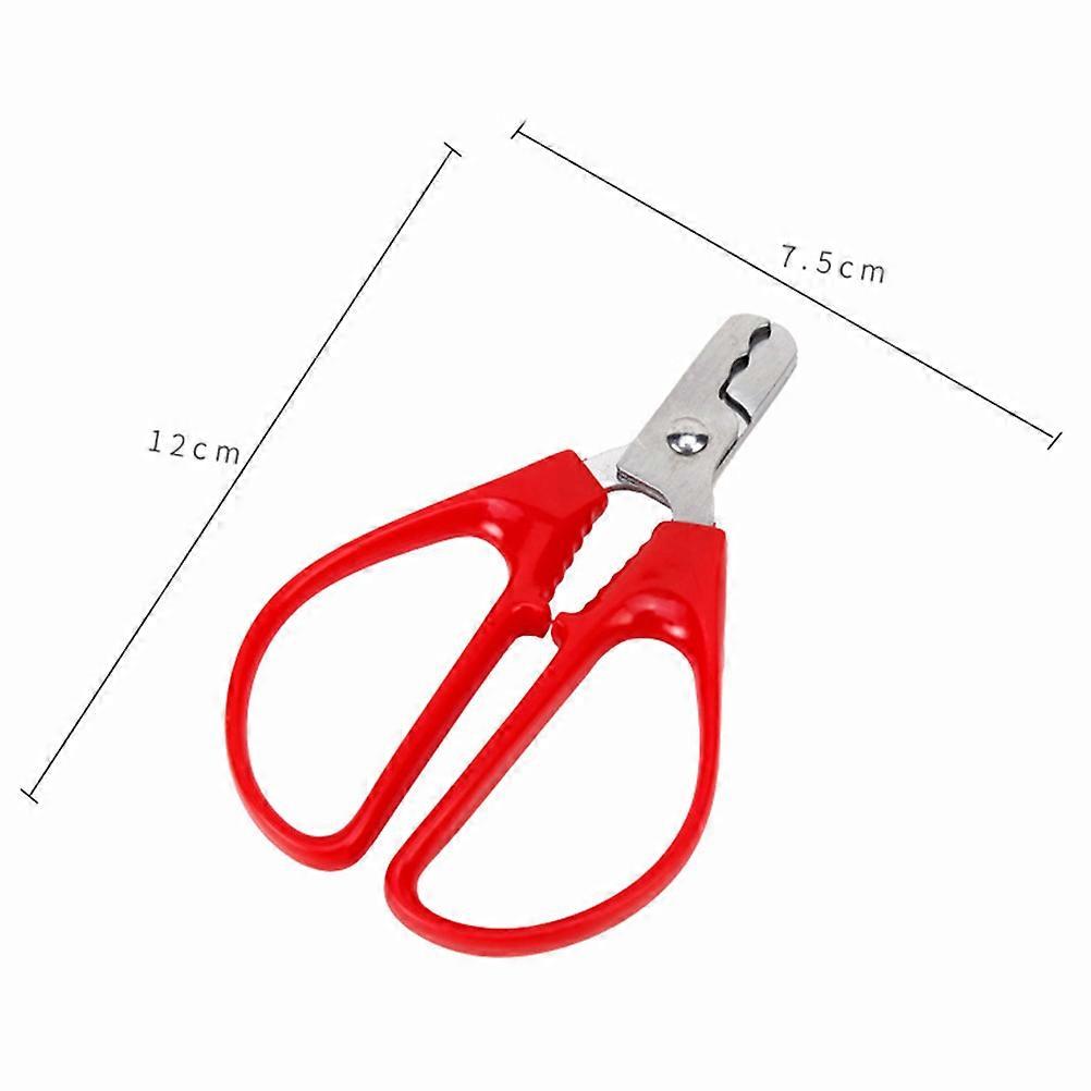 Peanut Shell Opener rustfritt stål Nut Shell Melon Plier Pine Nuts Peeling Tool