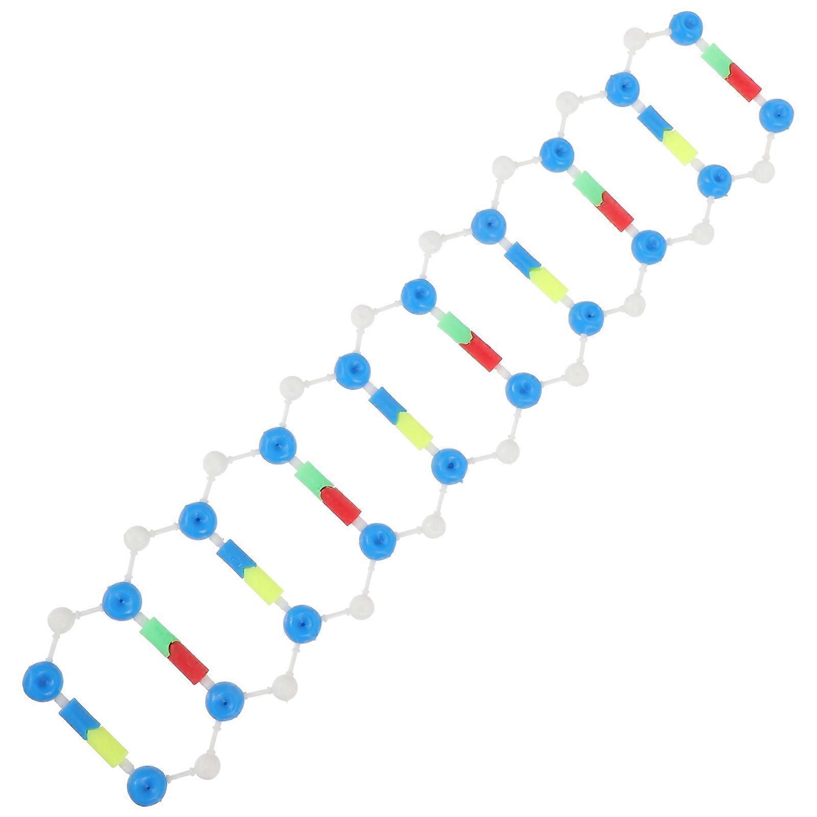 Double Helix Dna Model Science Teaching Aids for Students Educational Teaching Tool