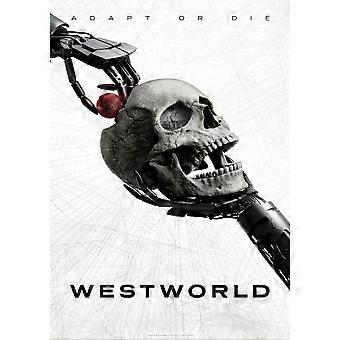 Westworld Brain-Teasing Puzzles BD-4002