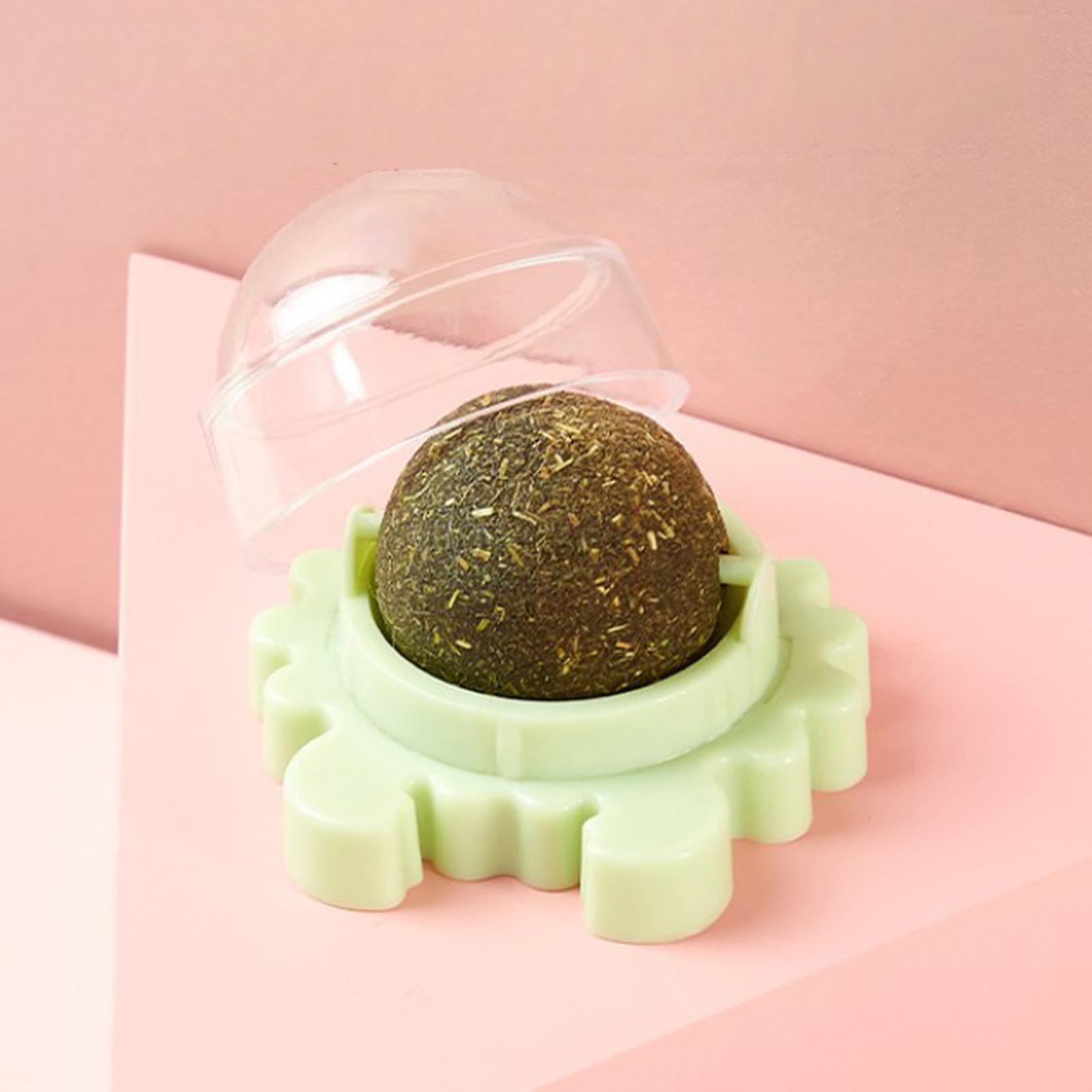 Pet Stuff Healthy Cat Catnip Toys Ball Cat Candy Licking Snacks Catnip Snack