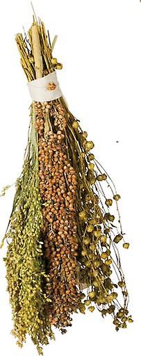 Jr Farm JR Birds Pick und Fly (Birds , Bird Food)