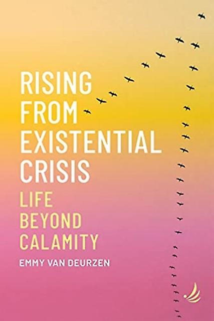Rising From Existential Crisis by Emmy van Deurzen Paperback Book