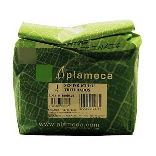 Grass Without Follicles 50 g