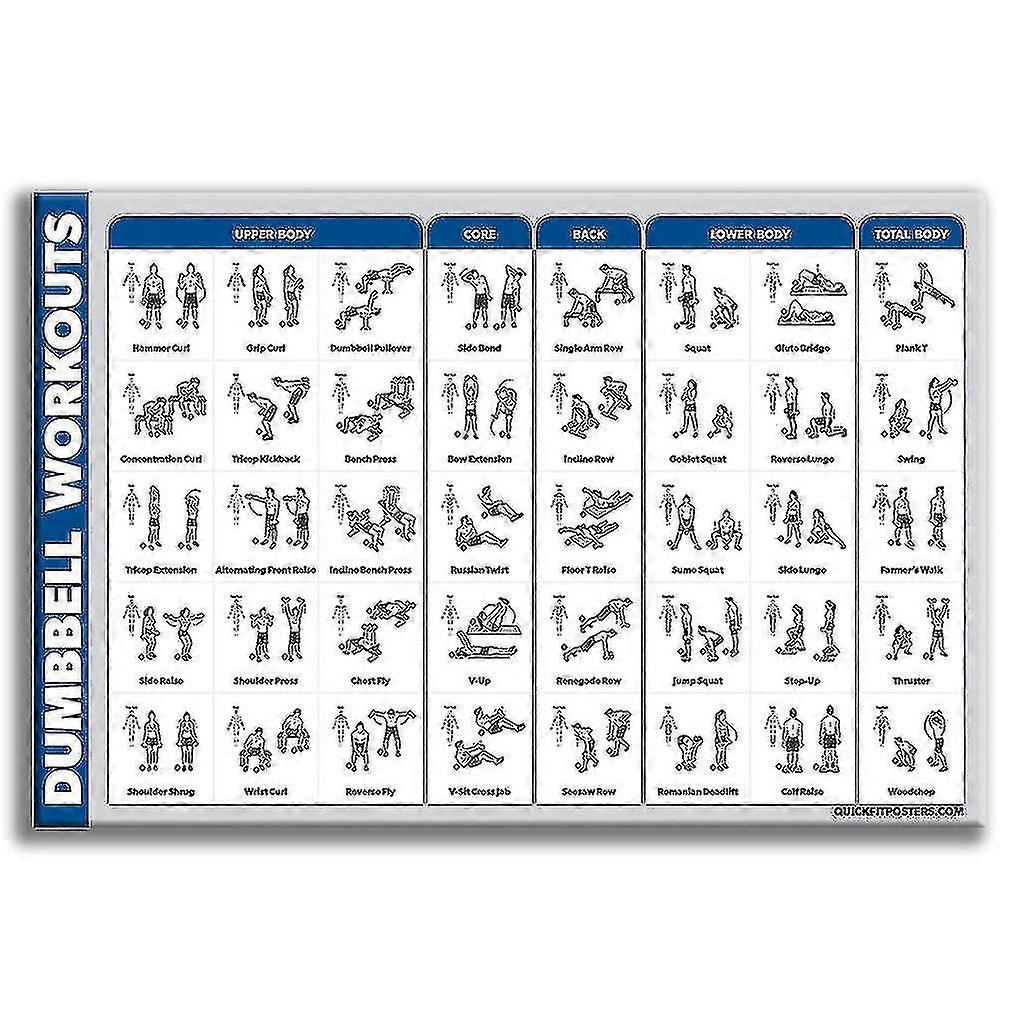 Learning Dumbbell Workout Exercise Poster Laminated Free Weight Body Building