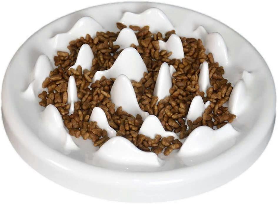 Slow Feeder Cat Bowls, Ceramic Fun Slow Feed Interactive Bloat Stop Puzzle Cat Bowl