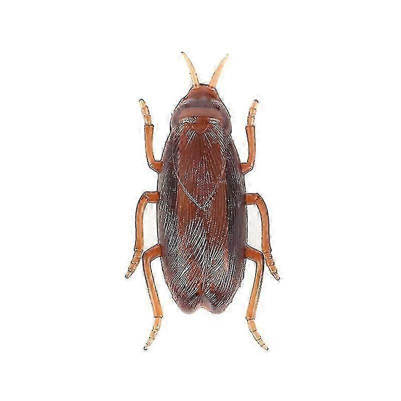 Dog-Cat Interactive Electronic Cockroach Intelligence Activity