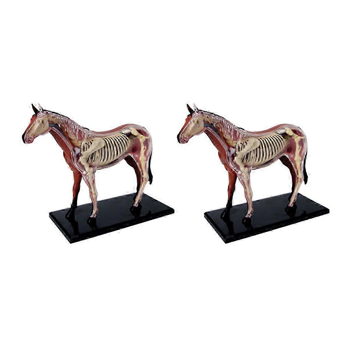 Animal Organ Anatomy Model 4d Horse Intelligence Assembling Toy
