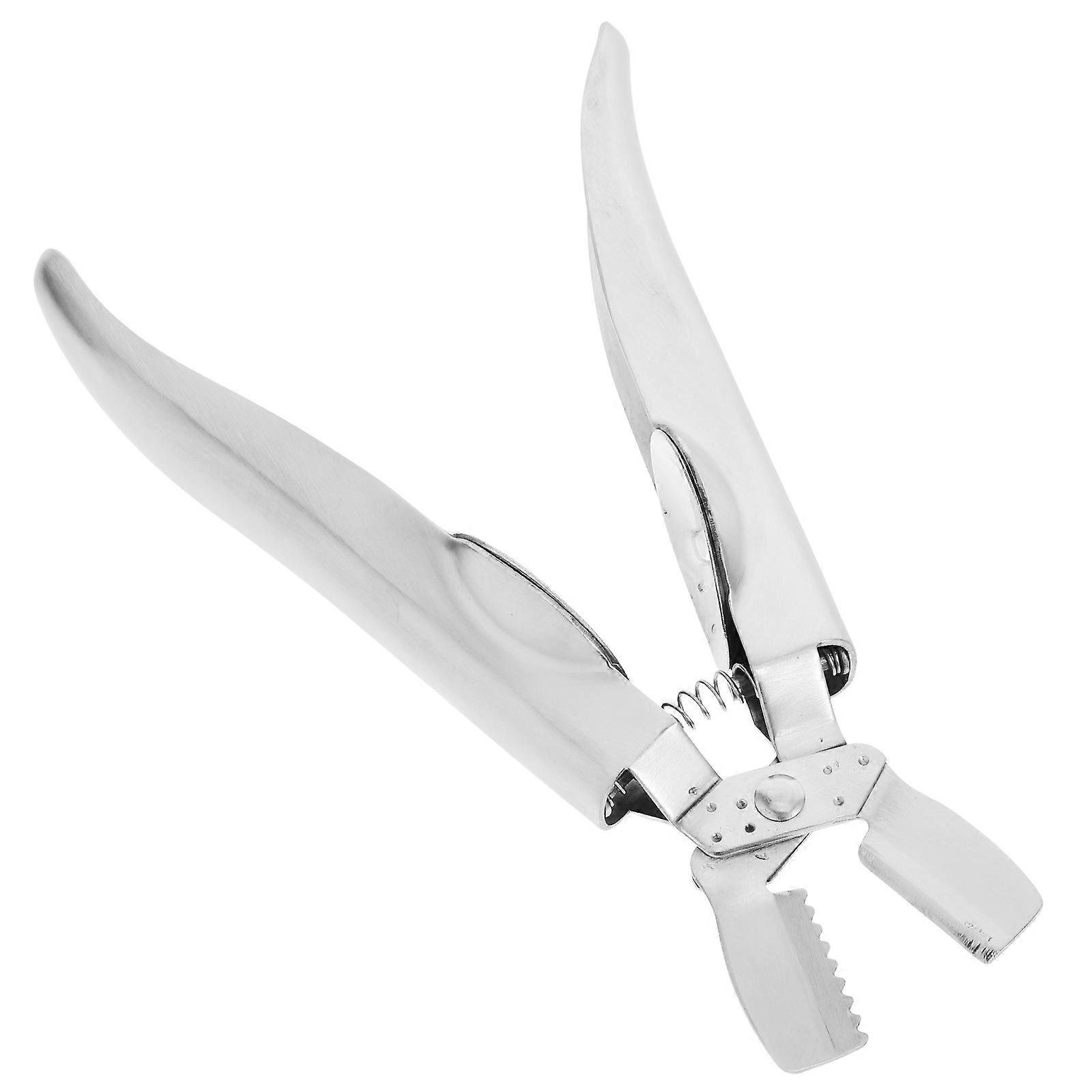 Stainless Steel Chestnut Opener and Nut Cracker Tool for Chestnuts Walnuts and Seafood Sheller and Silver