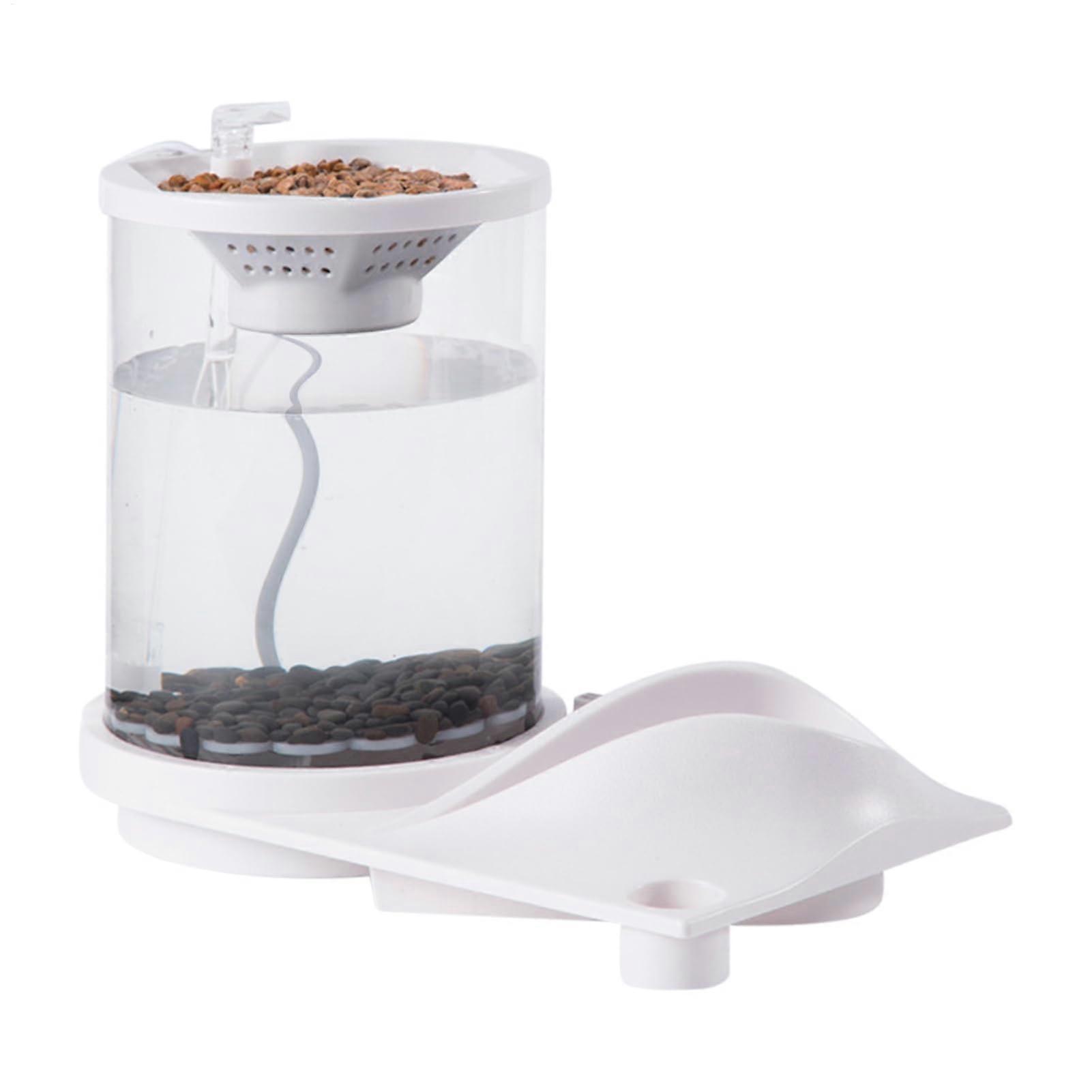 Desktop Betta Fish Tank with Filter System Small Aquaponic Ecosystem White