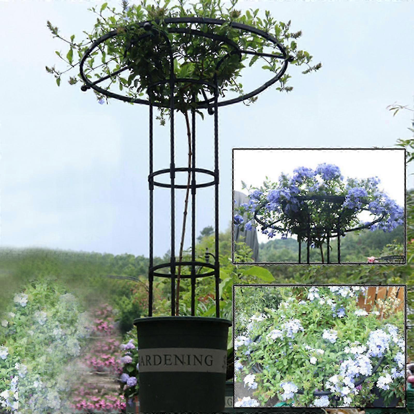 Solid metallespalier for utendørs klatreplanter og blomster