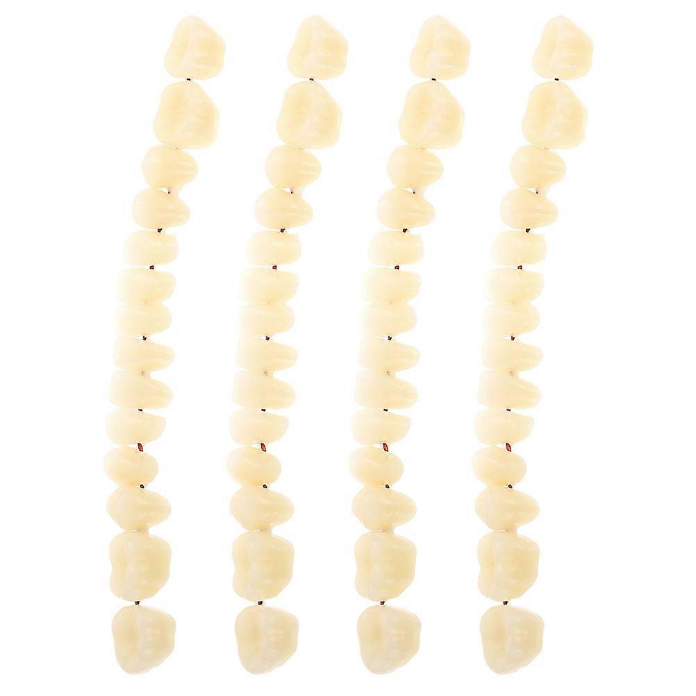 2 Sets Denture Model Teaching Denture Model False Teeth Model Artificial Teeth Model