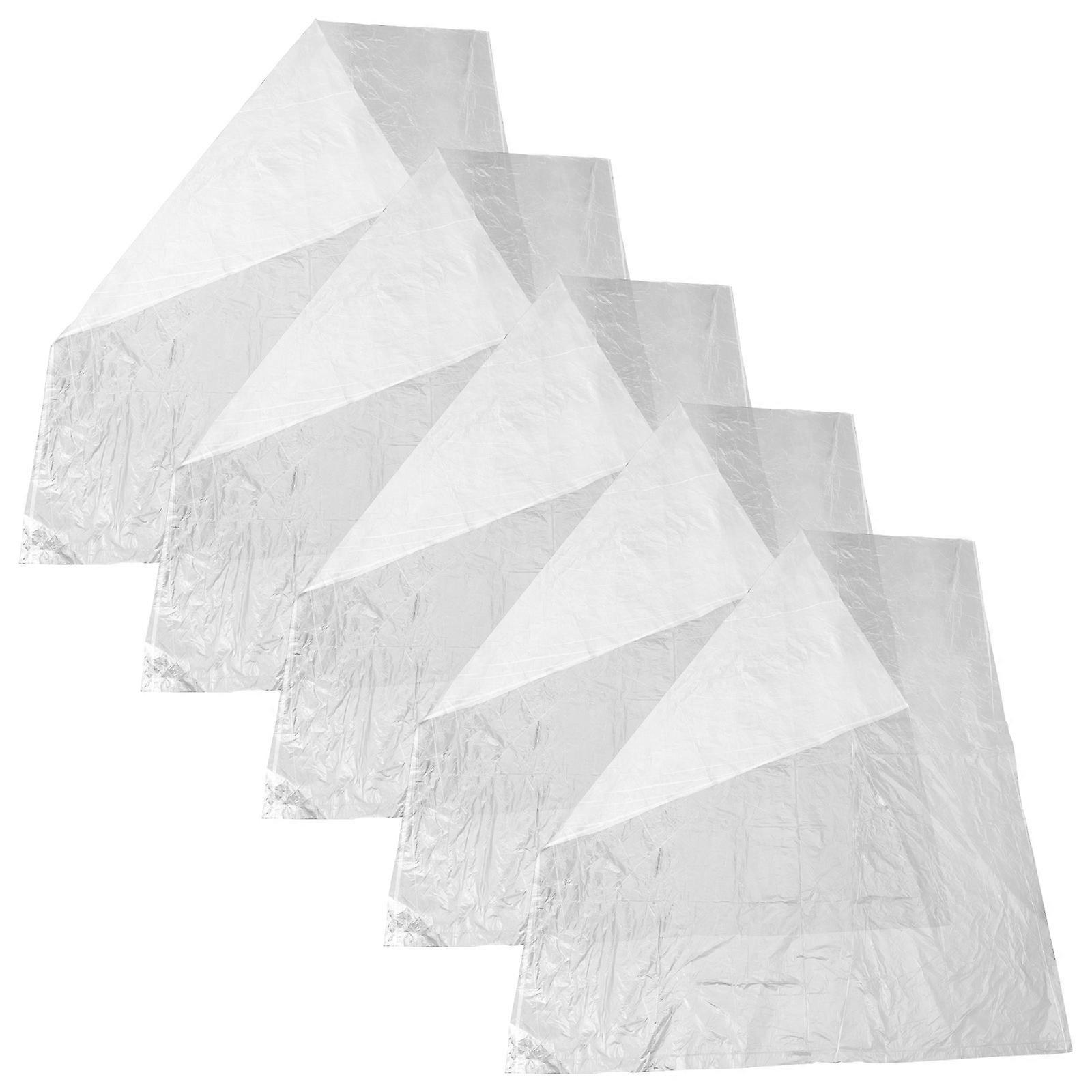 Plastic Balloon Carrying Bags Transparent for Storage Use 5Pcs Set