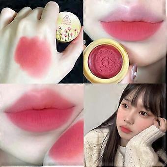 5 Farben Dosenlippe Schlamm Matt Samt Lippenstift Make-up Wasserdicht Lang anhaltender Lippenstift Lipgloss Frauen