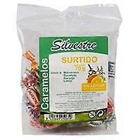 Assorted sugar-free candies 70 g