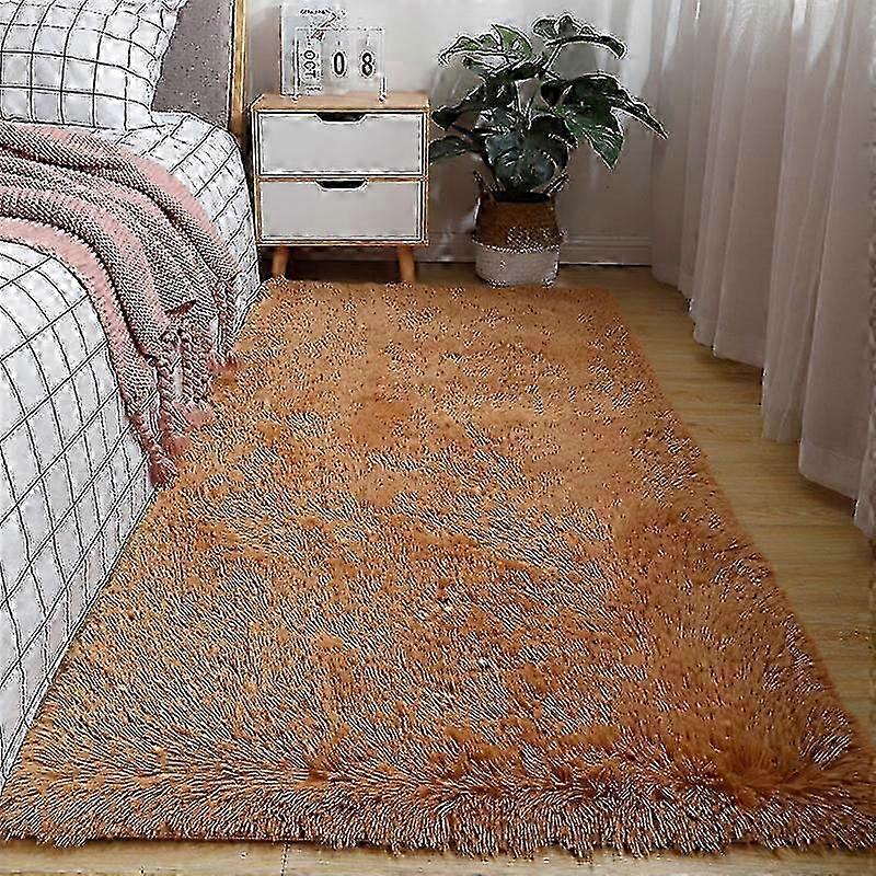 Plush home rugs