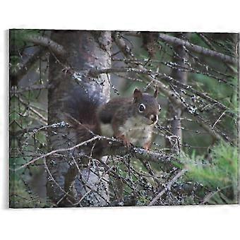 Red Squirrel Animal Jigsaw Puzzle for  Jigsaw Puzzle Prints Modern Artwork Farmhouse Home VV681