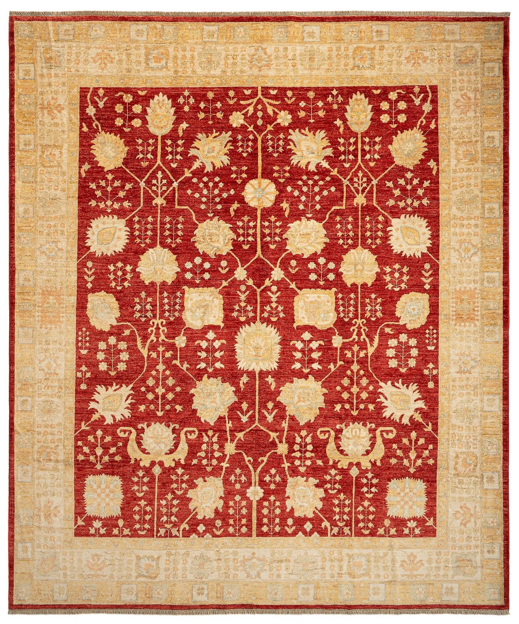 Hadorn Kaizar 250x293 con tappeto Pakistan rosso fatto a mano