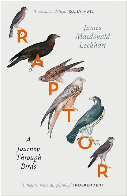 Raptor by James Macdonald Lockhart Paperback